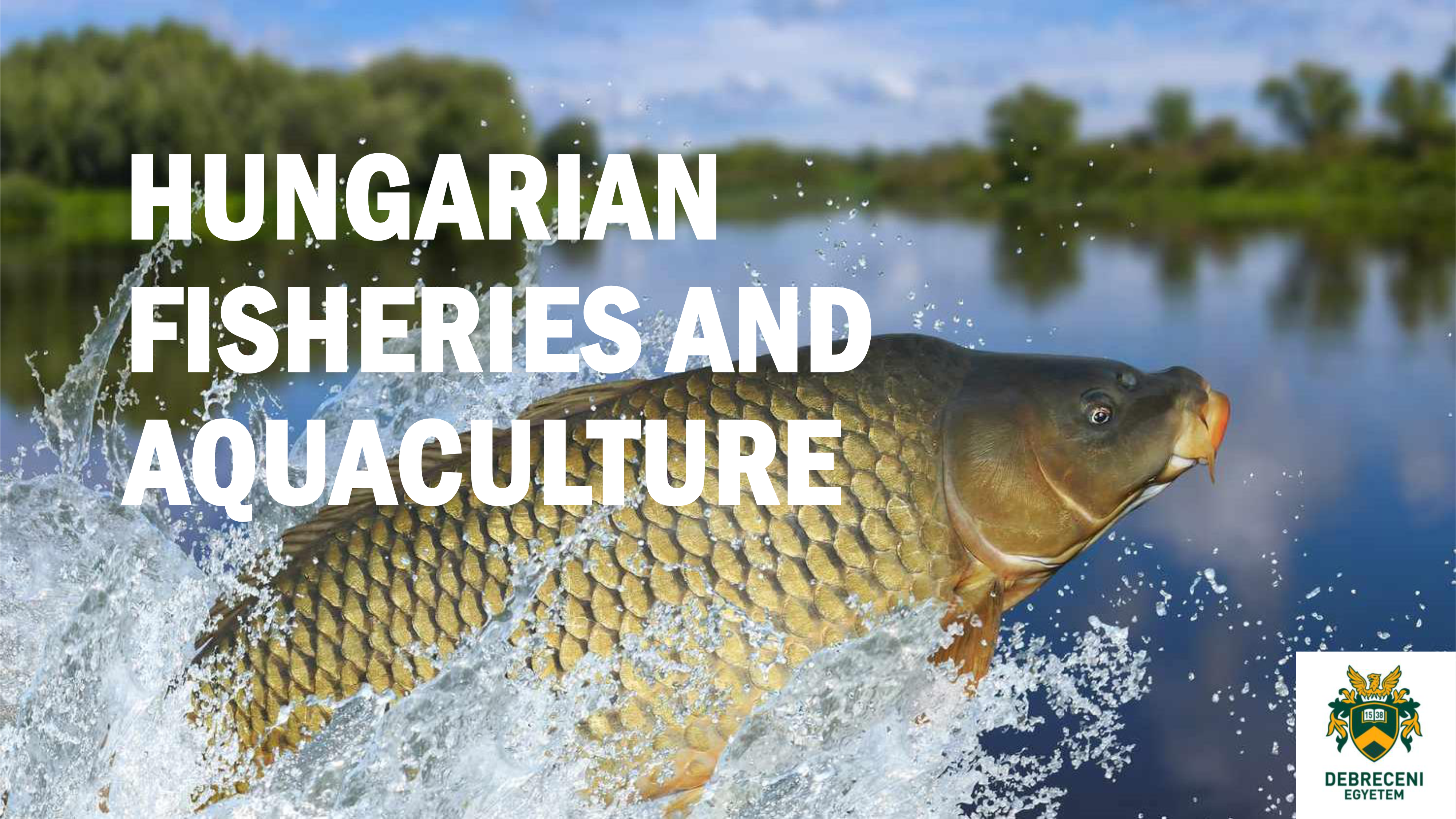 Hungarian fishering and aquaculture