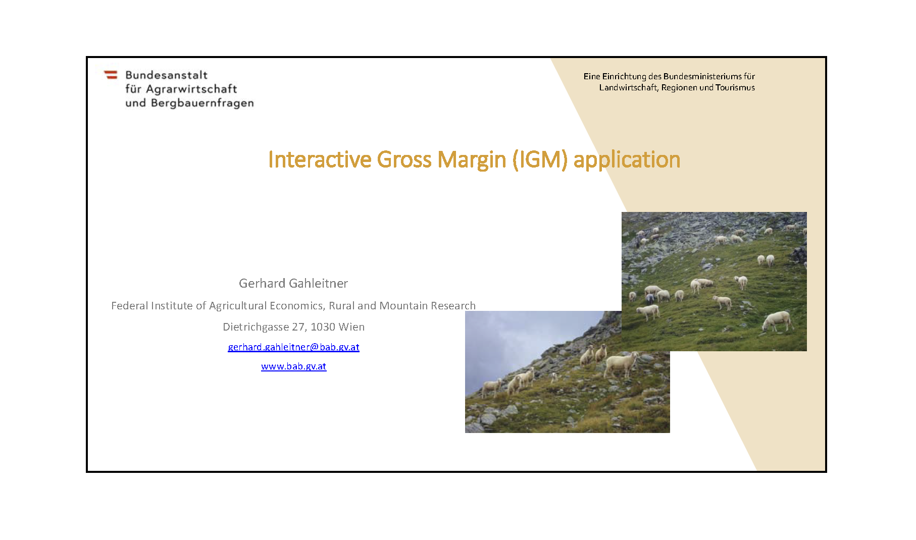 Interactive Gross Margin (IGM) application