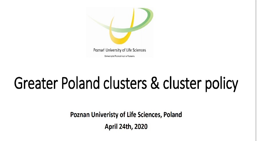 Greater Poland clusters & cluster policy